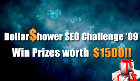 Dollar Shower SEO Contest