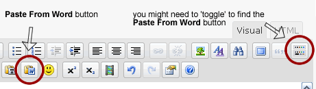 wordpress-paste-from-word.gif